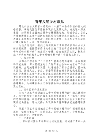 2024年青年反哺乡村意见