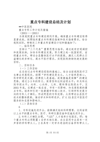 2024年重点专科建设总结及计划