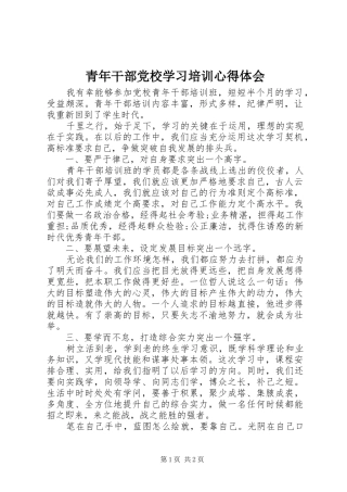 2024年青年干部党校学习培训心得体会