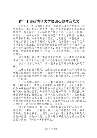 2024年青年干部赴清华大学培训心得体会范文
