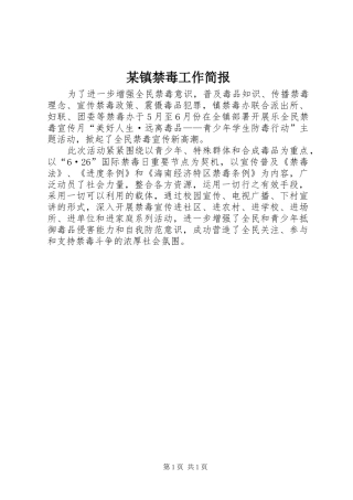 2024年镇禁毒工作简报