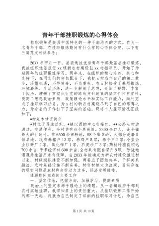 2024年青年干部挂职锻炼的心得体会