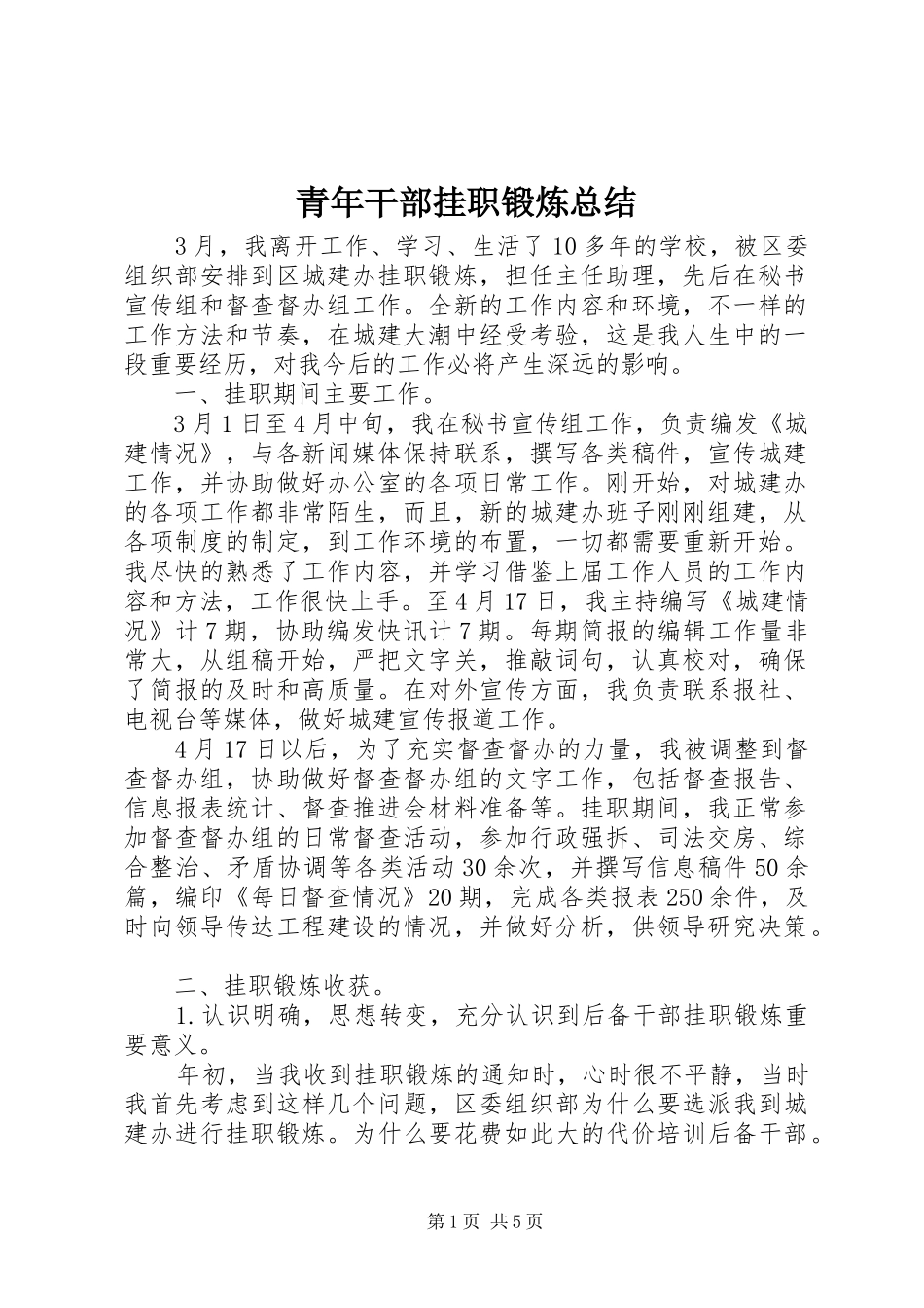 2024年青年干部挂职锻炼总结_第1页