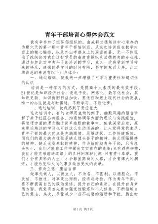 2024年青年干部培训心得体会范文