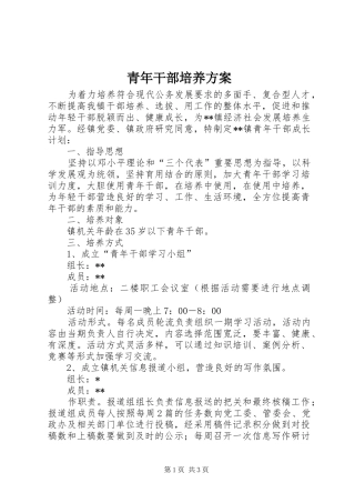 2024年青年干部培养方案