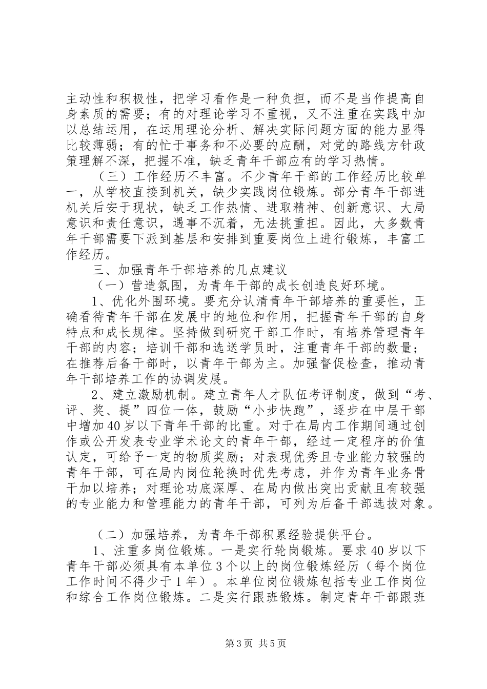 2024年青年干部培养经验交流材料_第3页
