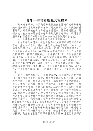 2024年青年干部培养经验交流材料