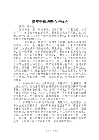 2024年青年干部培养心得体会