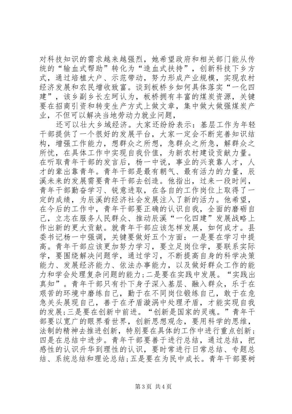 2024年青年干部座谈会议简报_第3页