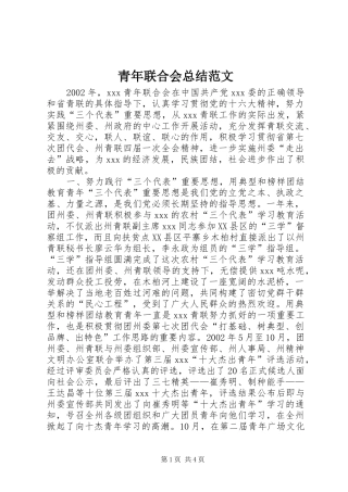 2024年青年联合会总结范文