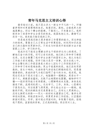 2024年青年马克思主义培训心得