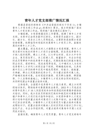 2024年青年人才党支部推广情况汇报