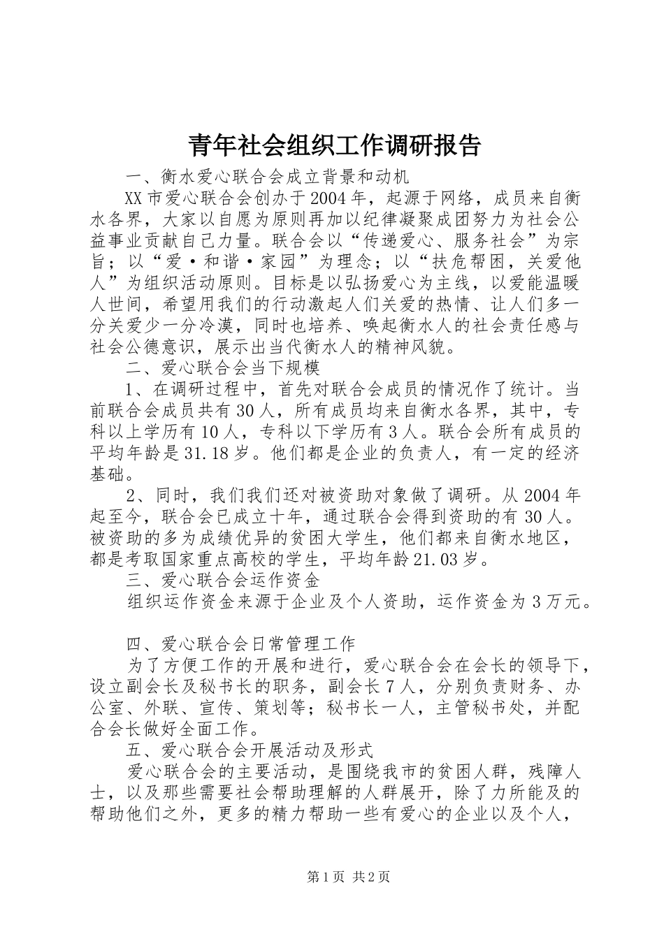 2024年青年社会组织工作调研报告_第1页