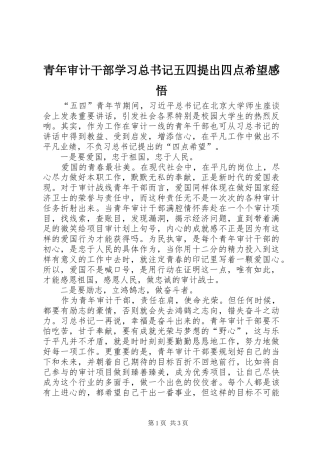 2024年青年审计干部学习总书记五四提出四点希望感悟