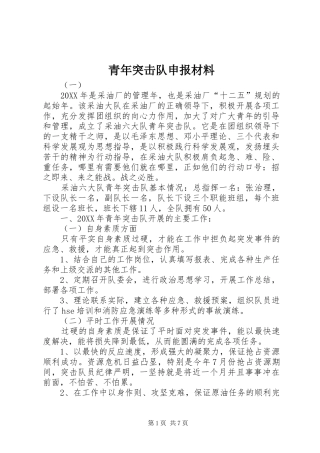 2024年青年突击队申报材料