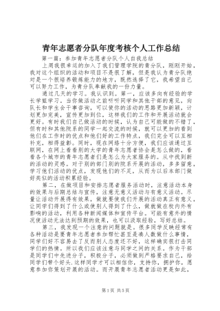 2024年青年志愿者分队年度考核个人工作总结