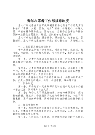 2024年青年志愿者工作部规章制度