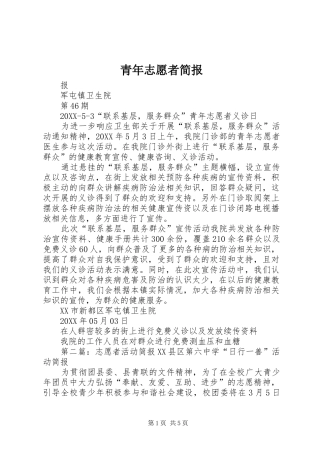2024年青年志愿者简报