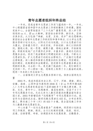 2024年青年志愿者组织年终总结