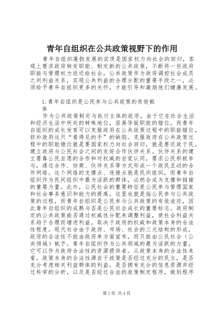 2024年青年自组织在公共政策视野下的作用