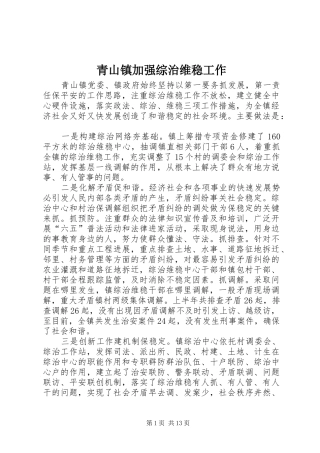 2024年青山镇加强综治维稳工作