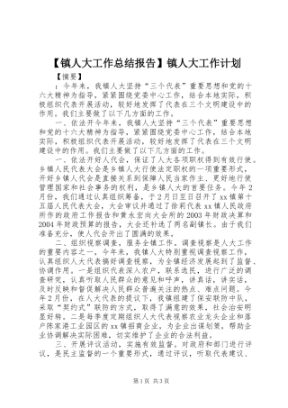 2024年镇人大工作总结报告镇人大工作计划