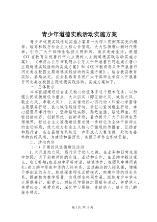 2024年青少年道德实践活动实施方案