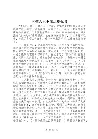 2024年镇人大主席述职报告