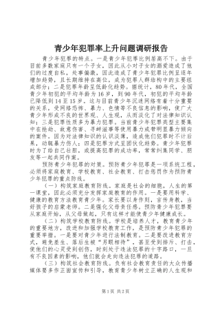 2024年青少年犯罪率上升问题调研报告