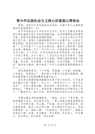 2024年青少年弘扬社会主义核心价值观心得体会