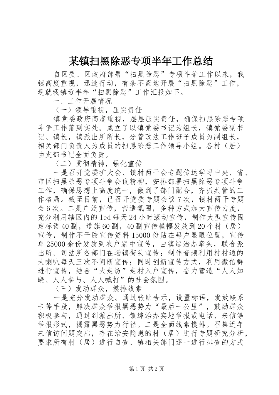 2024年镇扫黑除恶专项半年工作总结_第1页
