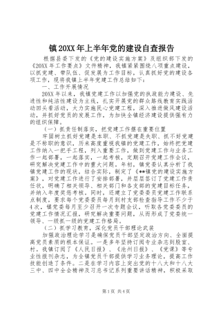 2024年镇上半年党的建设自查报告