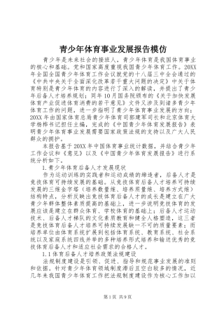 2024年青少年体育事业发展报告模仿
