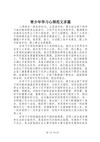2024年青少年学习心得范文多篇