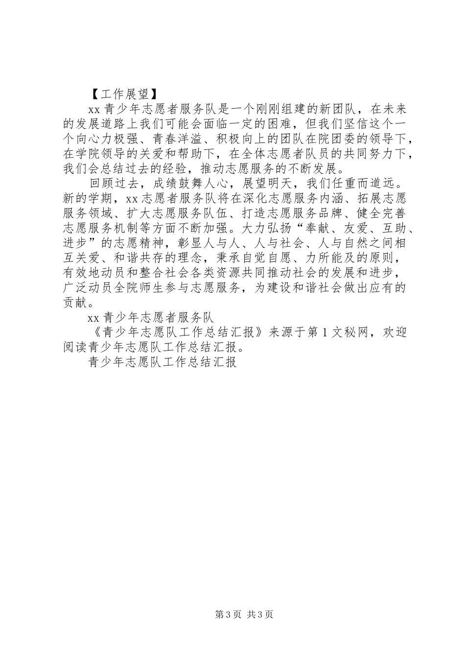 2024年青少年志愿队工作总结汇报_第3页