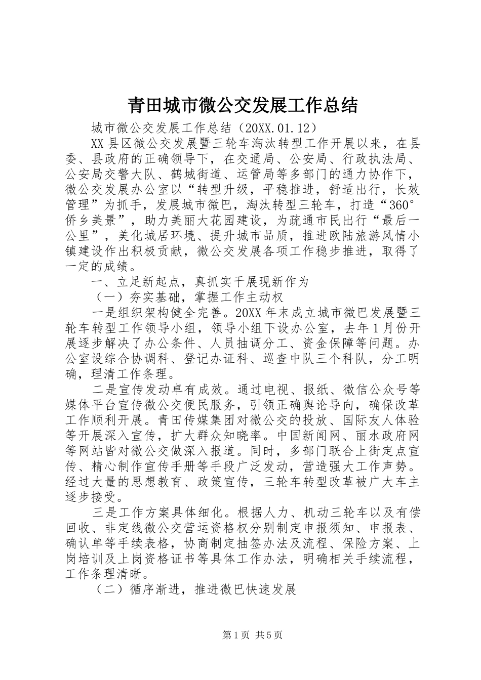2024年青田城市微公交发展工作总结_第1页