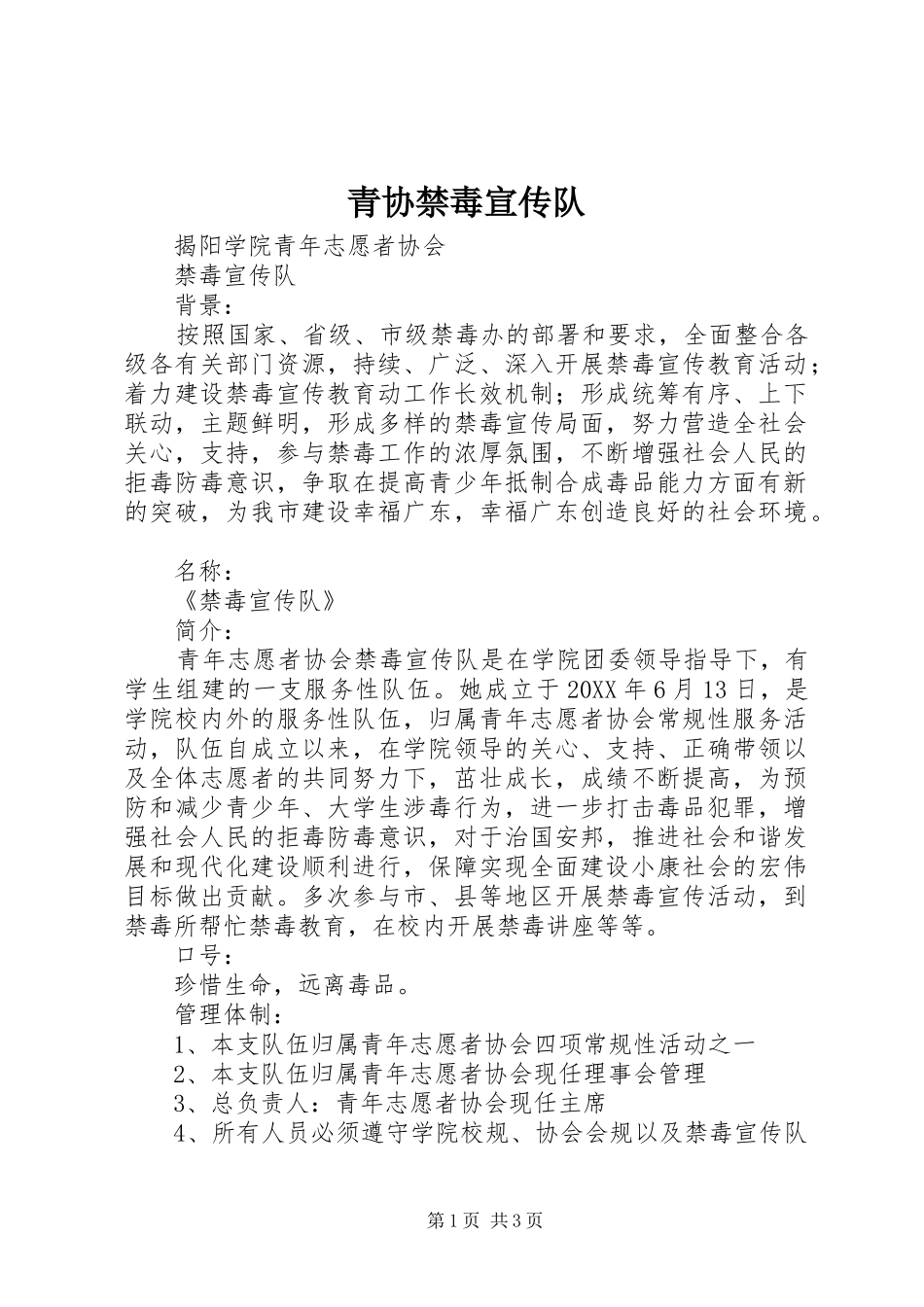 2024年青协禁毒宣传队_第1页