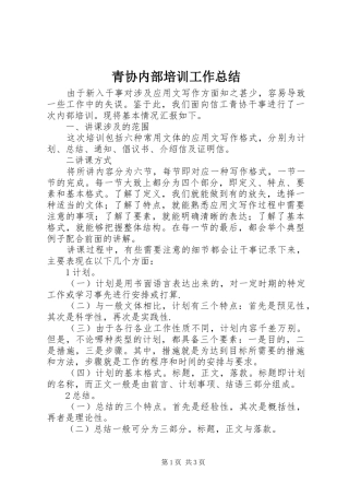 2024年青协内部培训工作总结