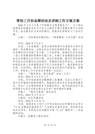 2024年青协三月份品牌活动及详细工作方案方案