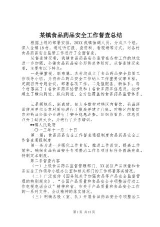 2024年镇食品药品安全工作督查总结