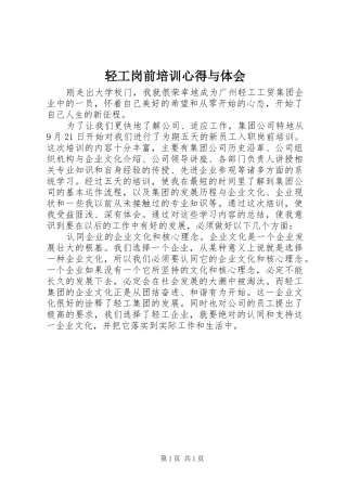 2024年轻工岗前培训心得与体会