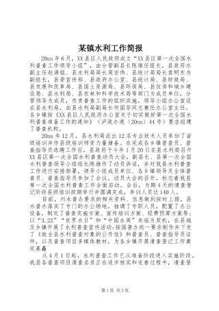 2024年镇水利工作简报
