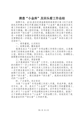 2024年清查小金库及回头看工作总结