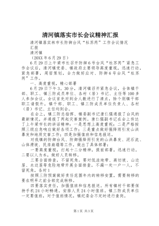 2024年清河镇落实市长会议精神汇报