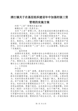 2024年清江镇关于在基层组织建设年中加强村级三资管理的实施方案