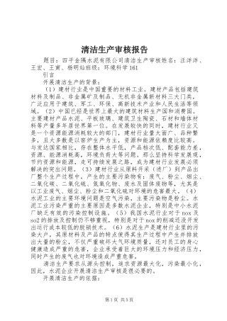 2024年清洁生产审核报告