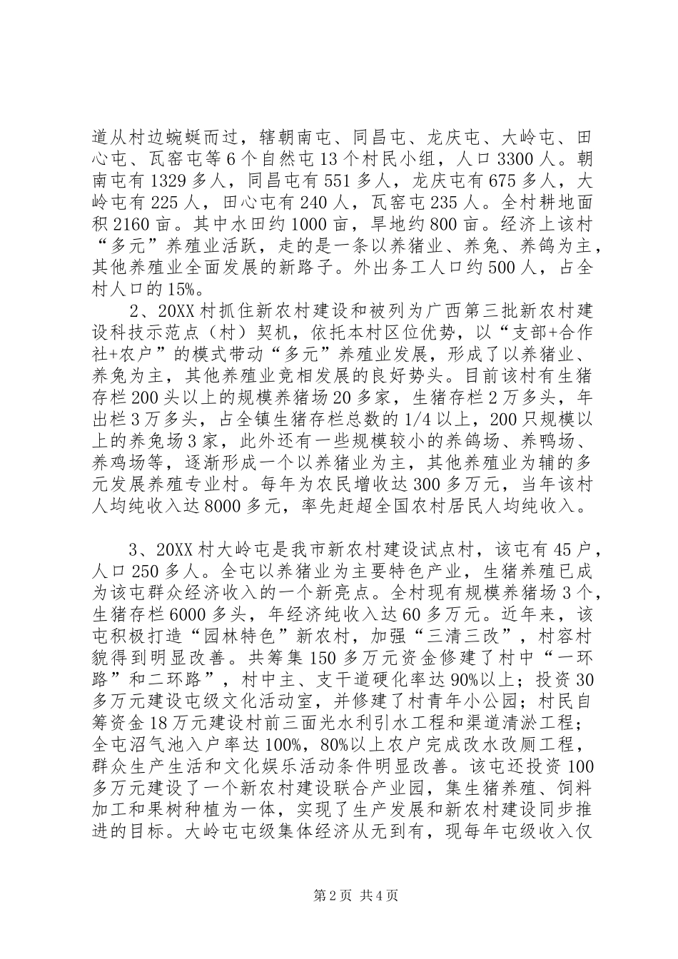 2024年驻村第一书记个人年终工作总结与计划_第2页