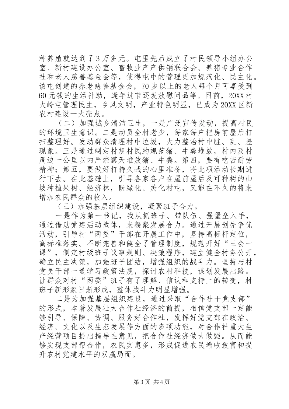 2024年驻村第一书记个人年终工作总结与计划_第3页
