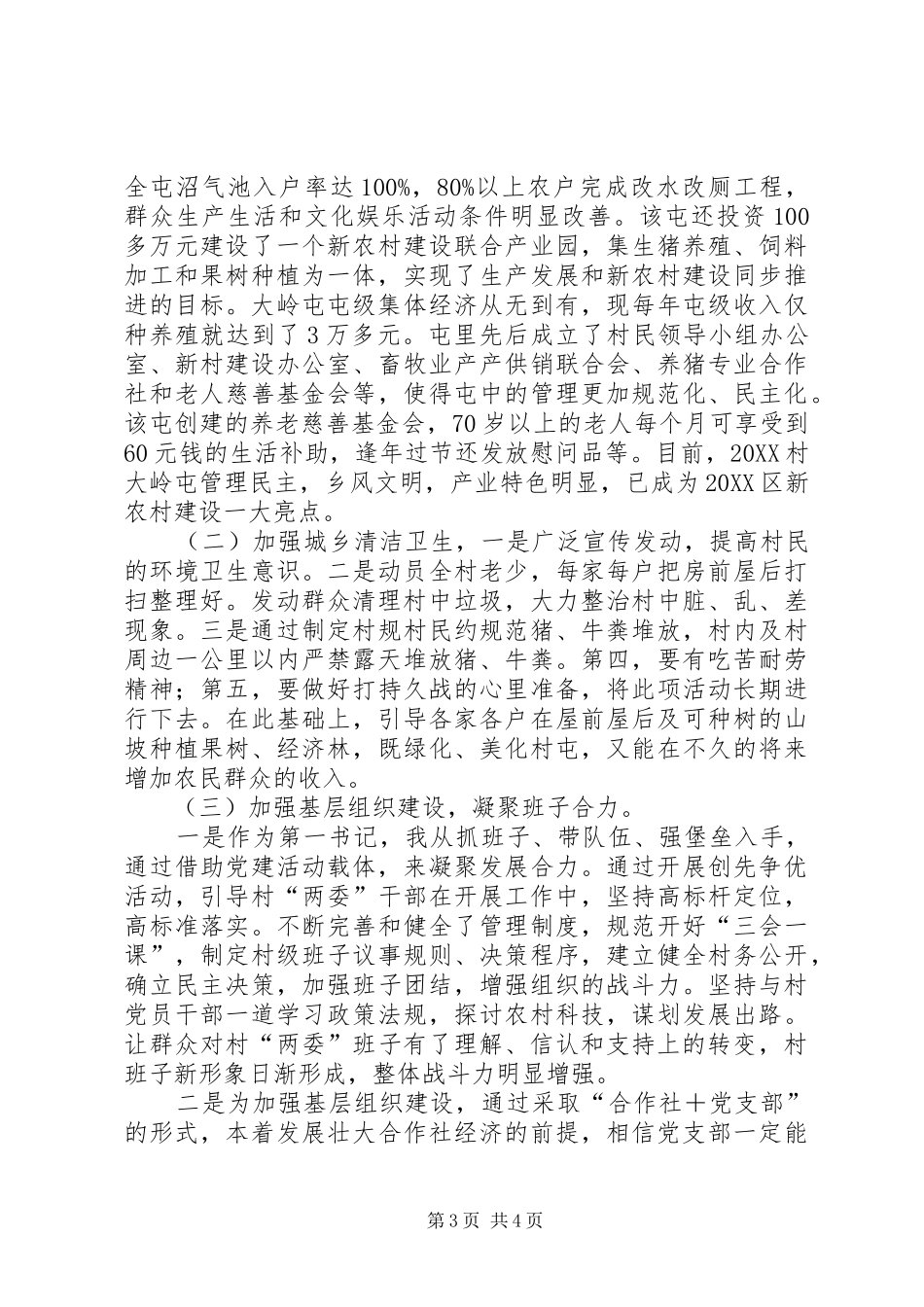 2024年驻村第一书记年终工作总结与计划驻村第一书记工作总结_第3页