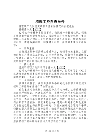 2024年清理工资自查报告